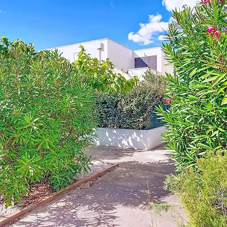 Albatros By Interhome Appartement Le Barcarès